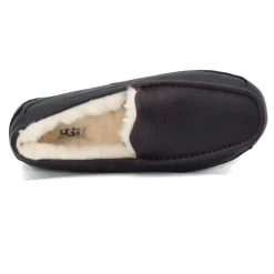 Men's Ugg, Ascot Slipper